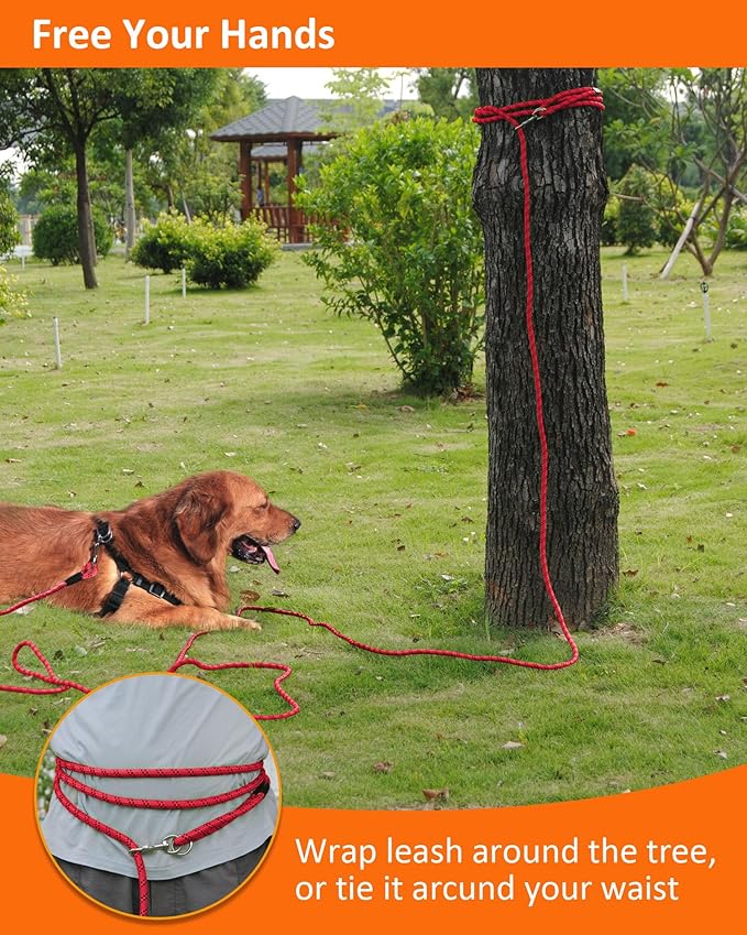Long Dog Leash for Dog Training 50FT, Heavy Duty Dog Lead for Large Medium Small Dogs Outside Walking, Playing, Camping, or Yard,Red