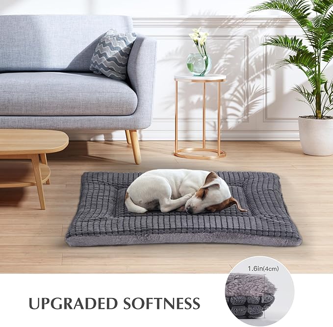 BVAGSS Reversible Dog Crate Pad, Memory Foam Pet Bed Mat, Soft Warm Machine Washable Sleeping Kennel Mattress for Small Medium Dogs XH079 (24''x18''x1.6'',Light Grey)