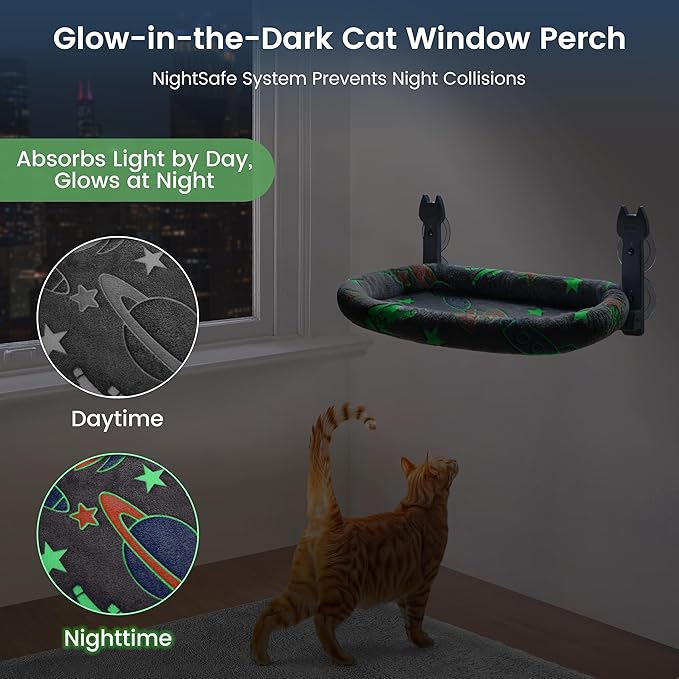 HiPetpy Cat Window Perch, Glow in The Dark Foldable Cat Hammock with Cozy Pad Bed, Breathable Cordless Window Seat with Stud Metal Frame for Large Cats and Kitten (Cushion Bed, 1 Pack - M)