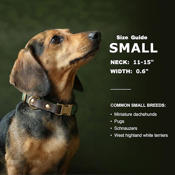 Didog Soft PU Leather Dog Collars for Small Dogs,Classic Adjustable Dog Collars with Quick Release Metal Buckle,Easy Clean and Comfortable with Nylon Lining,Green,S Neck 11-15"
