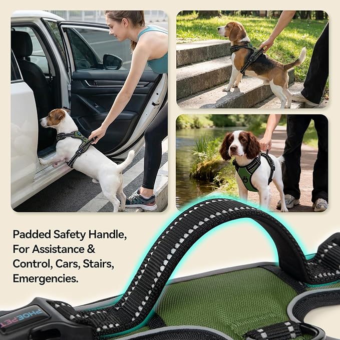 PHOEPET No Pull Dog Harness with Handle Reflective Padded Vest for Small Medium Large Dogs, Adjustable Puppy Harnesses with Front & Back Clip Easy Walking (M, Misty Green)