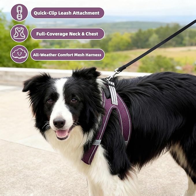 SMOUATOU All Weather Mesh Step in Vest Harness for Small and medidum Dogs and Cats, Adjustable Soft Padded Dog Vest with Easy Control Handle for Dogs Pets (Purple, M)