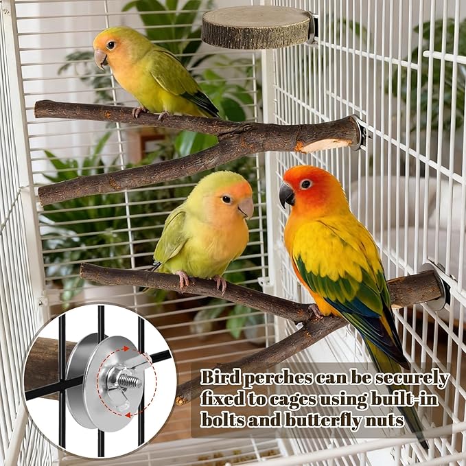 8 Pack Natural Wood Bird Perches, Parrot Perch Stand Bird Cage Accessories for Budgerigar Cockatiels, Conures, Lovebirds (L)
