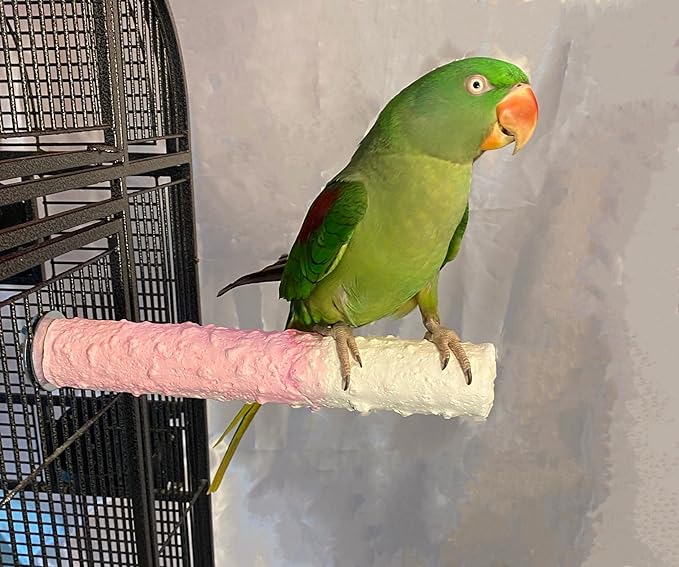 Polly's Edible Cuttlebone Calcium Bird Cage Perch for Budgies, Parakeets, Amazons, Blue & Golds, Macaws and Cockatoos.… (Strawberry, Large)