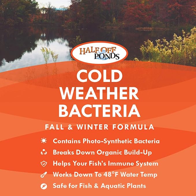 Cold Weather Pond Bacteria Treatment with Enzymes, 32 oz | Cold weather formula, breaks down sludge and fish waste, activates at 48°F, fish and plant safe, boosts beneficial bacteria