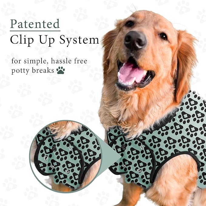 BellyGuard Dog Surgery Recovery Suit, Dog Onesie for Post-Op Care, Recovery Apparel for Female and Male, Surgical Body Cover for Canine Healing Support
