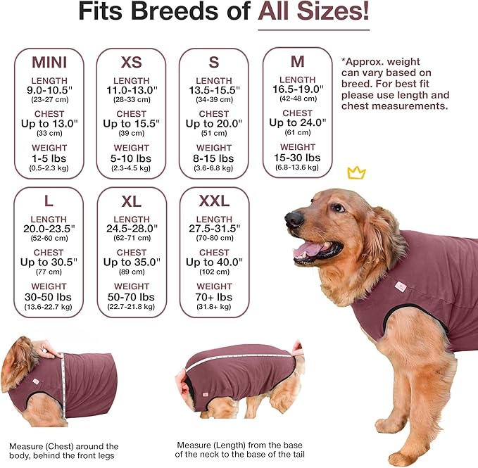 BellyGuard Dog Surgery Recovery Suit, Dog Onesie for Post-Op Care, Recovery Apparel for Female and Male, Surgical Body Cover for Canine Healing Support