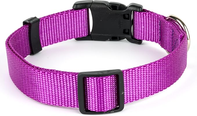 Country Brook Petz - Everyday Nylon Dog Collar and Leash - 10+ Cool Colors (3/4 Inch, Medium, Bright Purple)