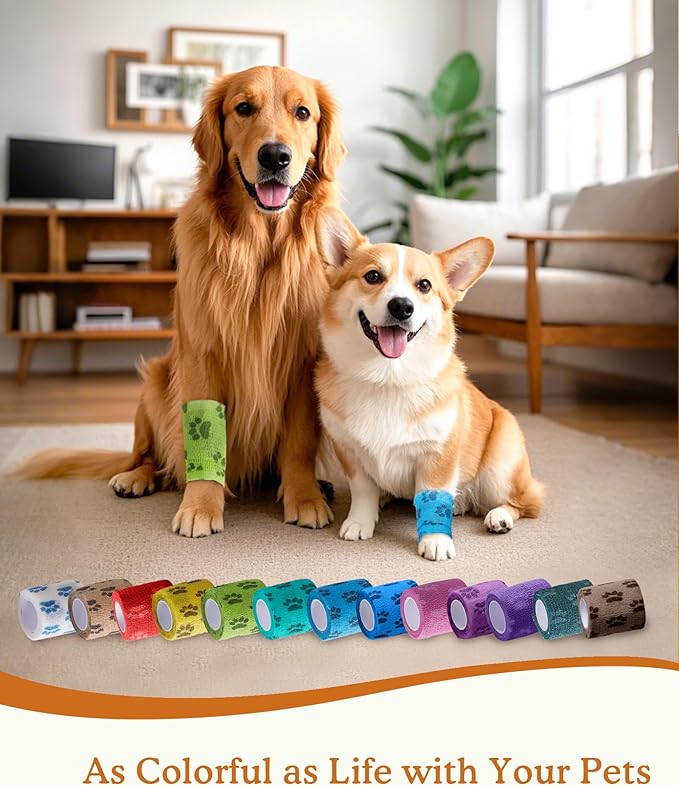 2 Inch Self Adhesive Bandage Vet, First Aid for Dogs Cats Horses, Great for Paws, Legs & Tails, Individually Wrapped, 8 Rolls, Daybreak Paw