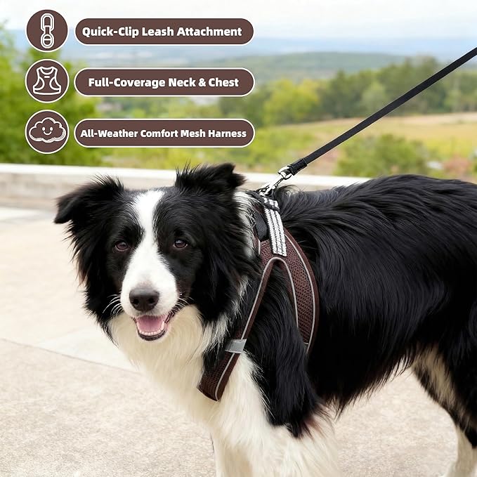 SMOUATOU All Weather Mesh Step in Vest Harness for Small and medidum Dogs and Cats, Adjustable Soft Padded Dog Vest with Easy Control Handle for Dogs Pets (Chocolate Brown, XXS)