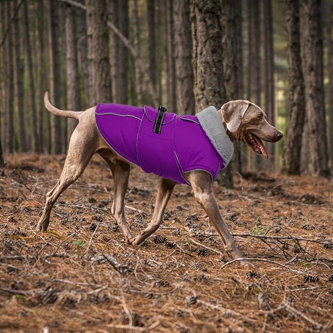 Lelepet Warm Dog Winter Coats for Small Dogs Waterproof Dog Jacket Reflective Pet Fleece Vest Windproof Cold Weather Coats with Adjustable Buckle & Leash Hole, Purple, S