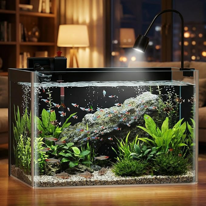3 Gallon Hot-Bent Black-Back Fish Tank, Aquarium Fish Tank,Easy to Maintain Small Aquarium for Betta/Goldfish/Snails/Shrimp and Aquatic Planting, Perfect for Home, Office, and Decor