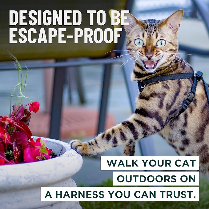 Houdini™ Escape Proof Cat Harness and Leash Set by OutdoorBengal – Tactical Vest for Walking – Comfy, Adjustable and Lightweight - Houdini Cat Harness Escape Proof for Cats + Cat Leash (Multicolor, M)
