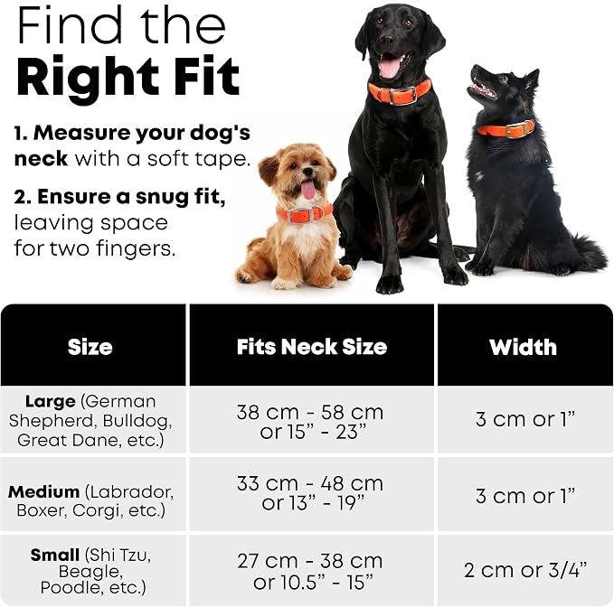 Regal Dog Products Medium Orange Waterproof Dog Collar and Leash Set | Heavy Duty Double Buckle & D Ring - 5'ft Leash | Adjustable Biothane Dog Collar | Chew Resistant Waterproof Collar for Dogs
