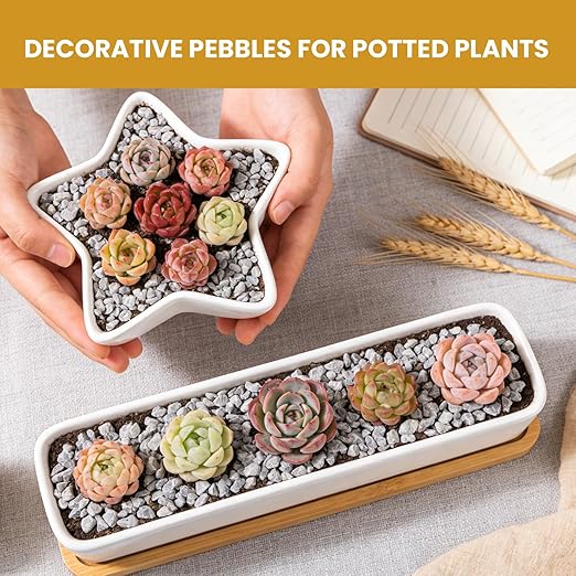 1/8 Inch Aquarium Gravel, Small Pebbles for Fish Tank & Indoor Plants, Natural Mini River Rocks for Succulent Soil Mix, Drainage, Terrarium & Vase Filler - Gray, 6 lb