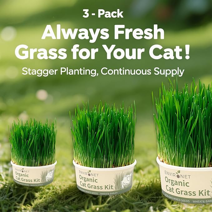 Cat Grass Kit for Indoor Cat, Organic Grass Growing Kit with Seeds, Soil and Planting Tools, Quick Germination, Perfect for Beginners