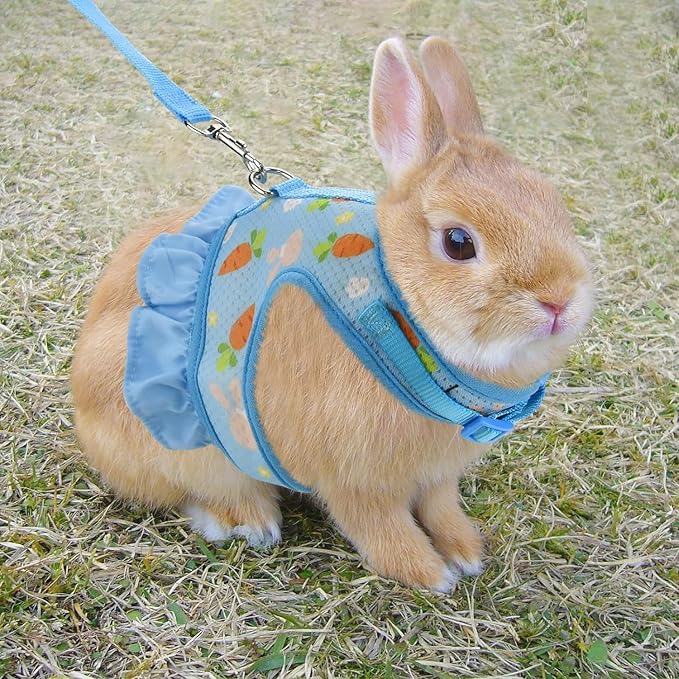 Breathable Small Animal Harness Leash & Hat Set - Adjustable Closure, 3 Colors - Escape-Proof Vest for Bunny, Chinchilla, Guinea Pig, Hamster for All Seasons
