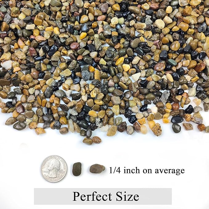 FANTIAN 20 lbs Natural Fish Tank Gravel,1/4 Inch Pea Gravel. Mixed Color River Rocks for Aquarium, Succulent, Vase, Cactus Bonsai, Plant Soil Cover and Outdoor Landscaping Rocks