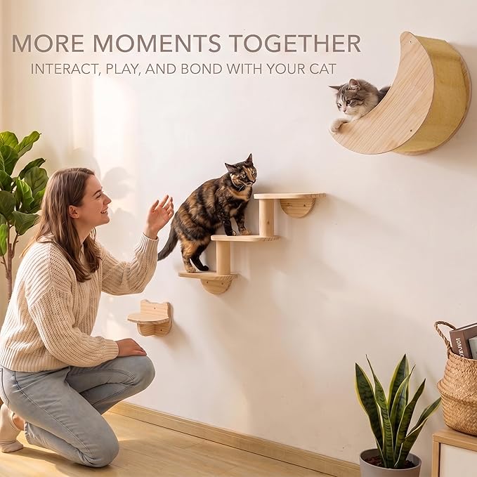 Cat Shelf for Wall Mount Hammock with 3-Levels Climbing Ladder and Shelves Moon Cats Wall Furniture for Activity Indoor Kitty (3-Levels Steps)