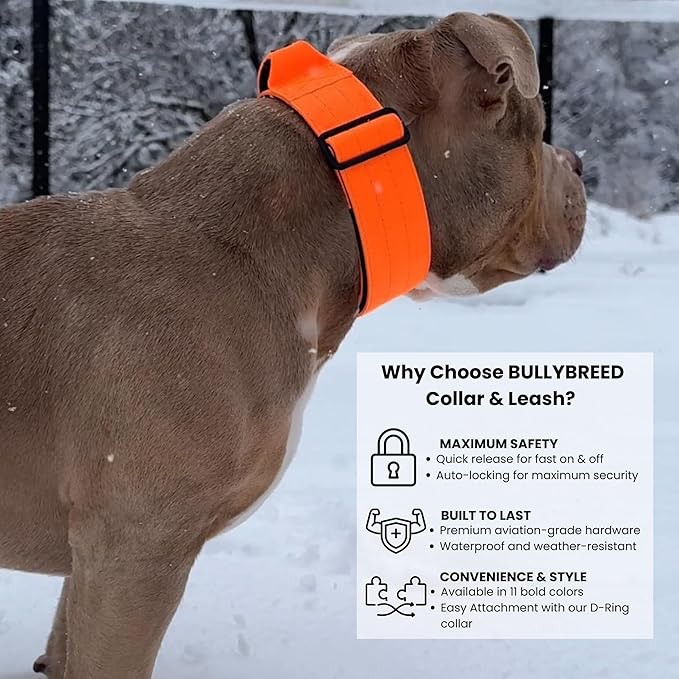 Heavy Duty Dog Collar, Tactical Dog Collar, Dog Collar for Large Dogs, Waterproof Dog Collar, Dog Training Collar, Quick-Release Metal Buckle, Adjustable Sizes – BULLYBREED (Orange, Large)