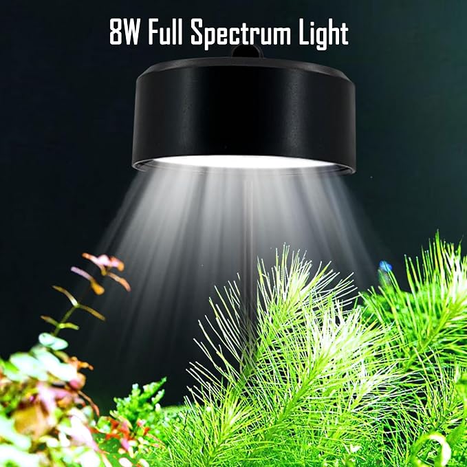 Fish Tank Starter Kits, Low Iron Glass Aquarium with Filter, Led Light for Aquascape DIY Small Betta Fish Tank (6 Gallons)