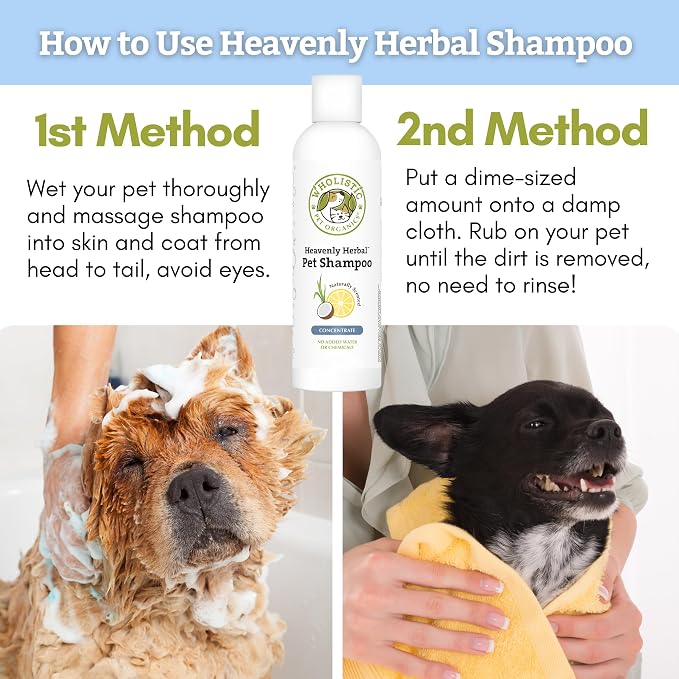 Wholistic Pet Organics Pet Shampoo Concentrate: USDA Organic Cat and Dog Shampoo for Sensitive Skin and Coat Support - Mild and Non-Irritating, Natural, Non-Toxic, Sulfate-Free, & Cruelty-Free - 2 Oz