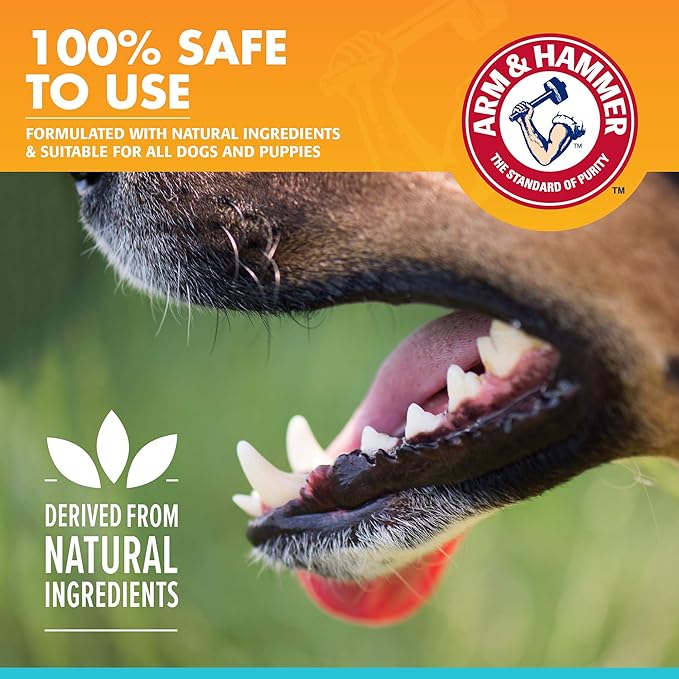 Arm & Hammer for Pets Dog Oral Care Spray, Mint Flavor Breath Freshener with Baking Soda for Brushless Plaque and Tartar Support, Easy Daily Dental Maintenance for Adult Dogs, 4 Fl Oz