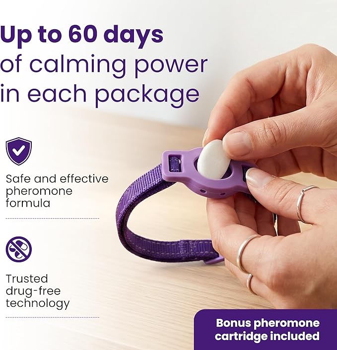 Breakaway Calming Collar Plus - Advanced Feline Pheromone System with Essential Oil Support for Cats – True Breakaway Safety Clasp, Reusable Design, Lasts Up to 60 Days – by Kitty Kompass