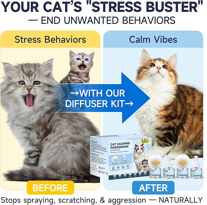Anti Cat Pee Diffuser Calm Calming Cat Pheromone Pet Diffuser Plug In Spray Relaxer For Cats Anxiety Feromonas Calming Pheromones Relaxing Stress Diffuser Calmer With 4 Refill Peeing Cat Diffusers