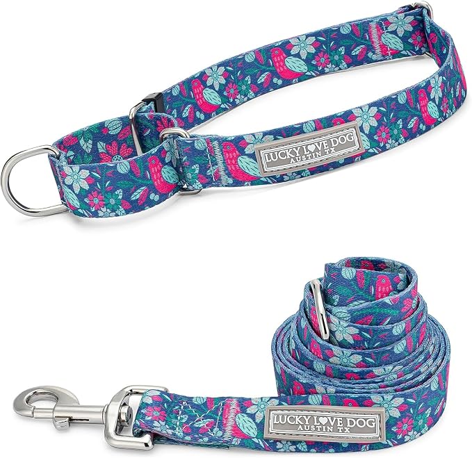 Lucky Love Dog - Easy Click Buckle Dog Collar with Leash Set Combo, Durable & Comfortable for Male & Female Dogs, Pet Collar for Small Dogs, Secure Fit - Carriebelle Martingale Combo, Small
