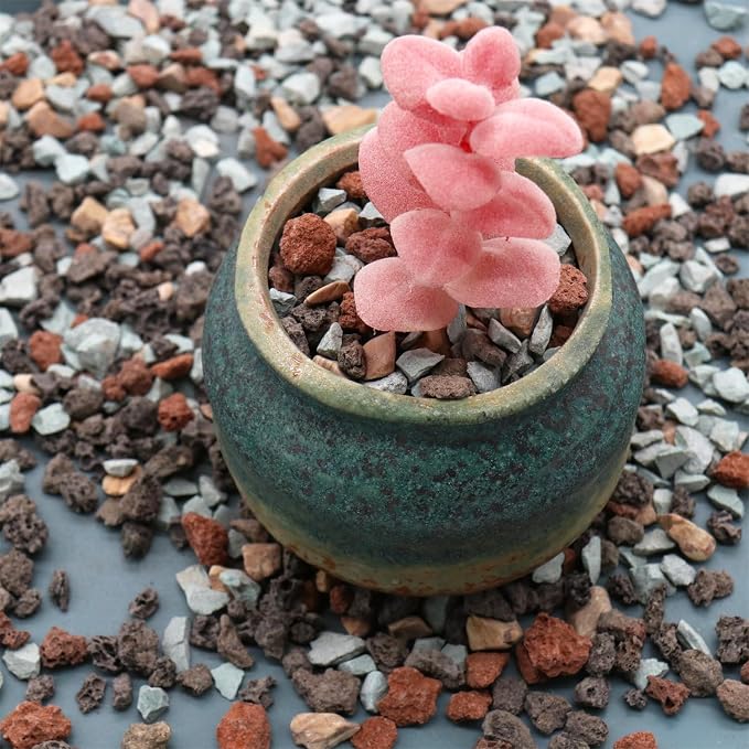 Mixed Color Lava Horticultural Lava Rocks for Plants, 1/5 Inch, 2 lbs