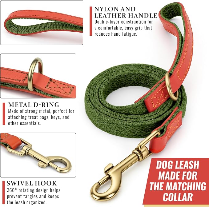 Nylon Dog Leash and Collar Set with Metal Quick Release Buckle, Adjustable, Durable High-Density Fabric, Breathable, Soft and Comfortable, No Pull for Walking and Training, Green, M (12.6"-19.6")