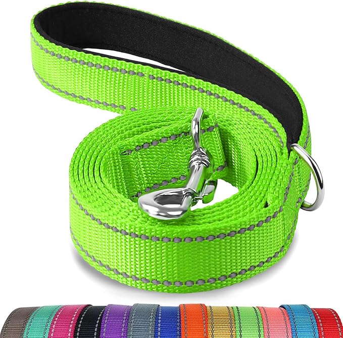 Joytale Dog Leash, 5 FT Double-Sided Reflective, Padded Handle Nylon Heavy Duty Leashes for Medium & Large Dogs Walking, Green