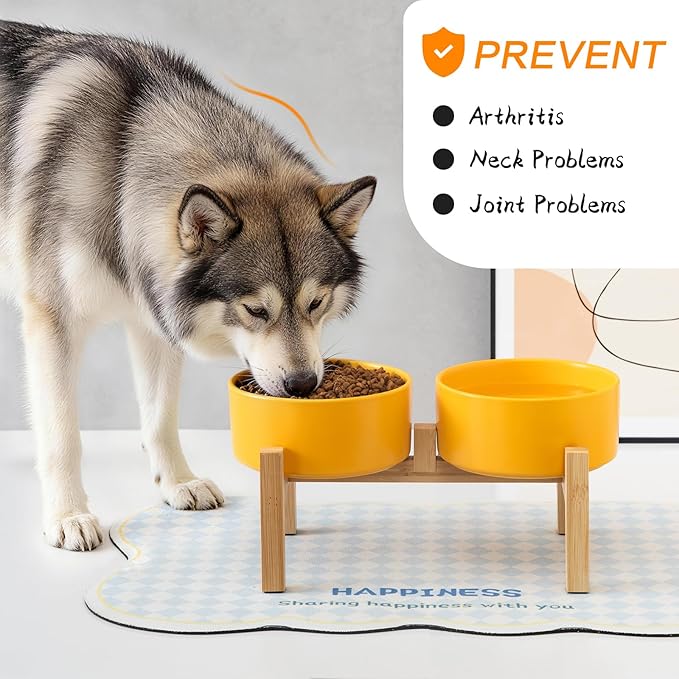 Elevated Ceramic Dog Bowl Set - Raised Dog Bowls with Non Slip Bamboo Stand, Food and Water Bowl Set for Kitty, Cats and Toy Breed Dogs, Pet Bowls, Dogs Dishes (5.1'', 2 * 16OZ, Yellow)