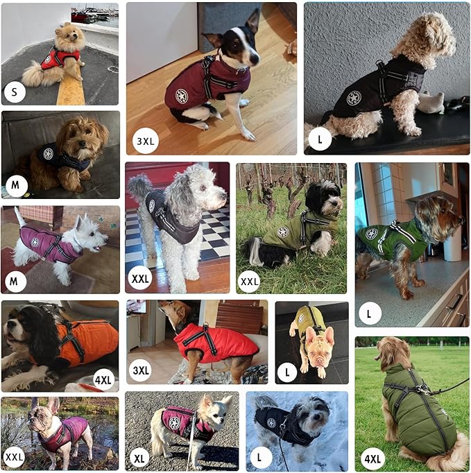 Aiboria Dog Jackets for Winter Windproof Waterproof 2 in 1 Outfit Cold Weather Coat Dog Vest Harness Puppy Winter Warm Jacket Blue XL