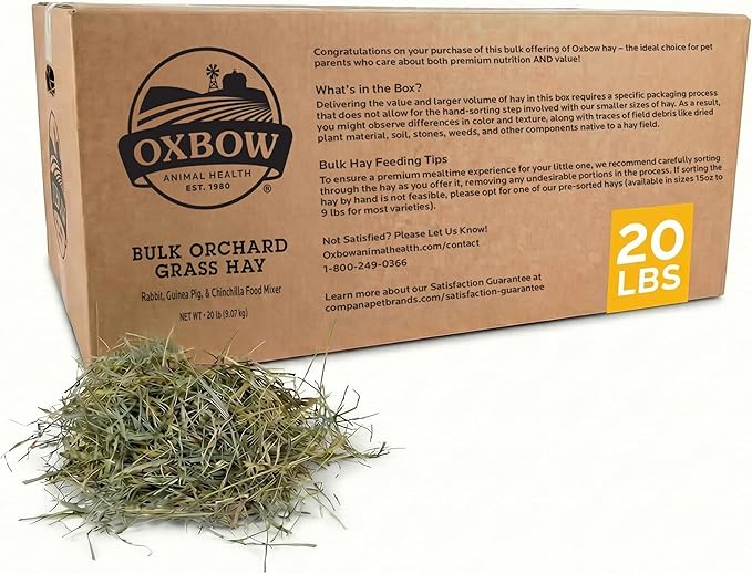 Oxbow Orchard Grass Hay, Rabbit & Guinea Pig Hay, High Fiber for Digestive Health, Grown in USA, Veterinarian Recommended Small Pet Supplies, Bulk Food for Rabbits, Guinea Pigs, & Chinchillas, 20 lbs