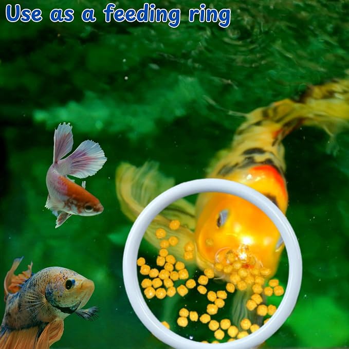 Betta Fish Exercise Ring and Filter Balls Set, Betta Ring Training Loop with Suction Cup and Nitrifying Ball, Betta Enrichment Toys, Aquarium Toys for Fish Turtle Tank Small Fish Tank (White, M-73mm)