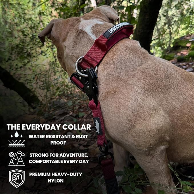 Heavy Duty Dog Collar, Tactical Dog Collar, Dog Collars for Medium Dogs, Waterproof Dog Collar, Dog Training Collar, Quick-Release Metal Buckle, Adjustable Sizes – BULLYBREED (Maroon Red, Medium)