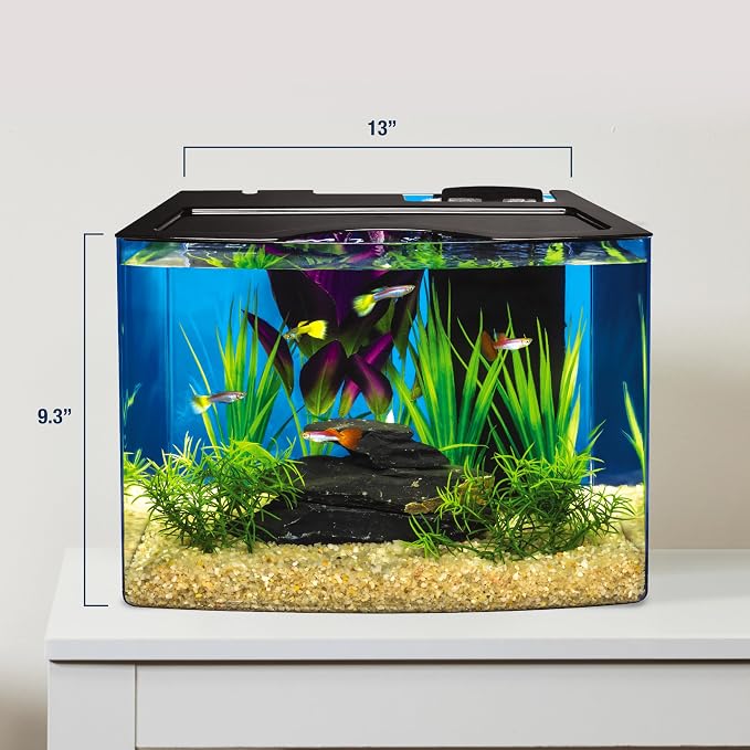 Tetra Crescent STEM 3 Gallon Fish Tank Kit | Aquarium Kit Includes STEM Activity Booklet, White LEDs, 3 Gal Curved Tank, Filter & Cartridge, Test Strips, Thermometer