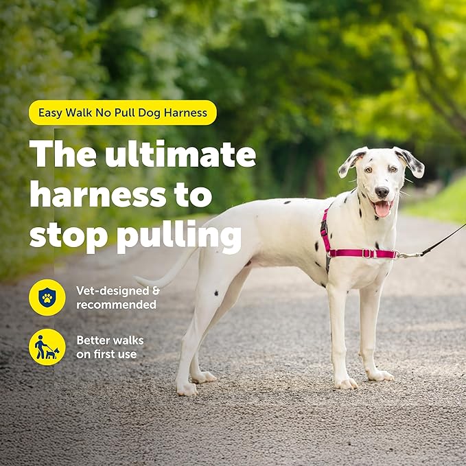 PetSafe Easy Walk No-Pull Dog Harness - The Ultimate Harness to Help Stop Pulling - Take Control & Teach Better Leash Manners - Helps Prevent Pets Pulling on Walks, Medium/Large, Raspberry/Gray