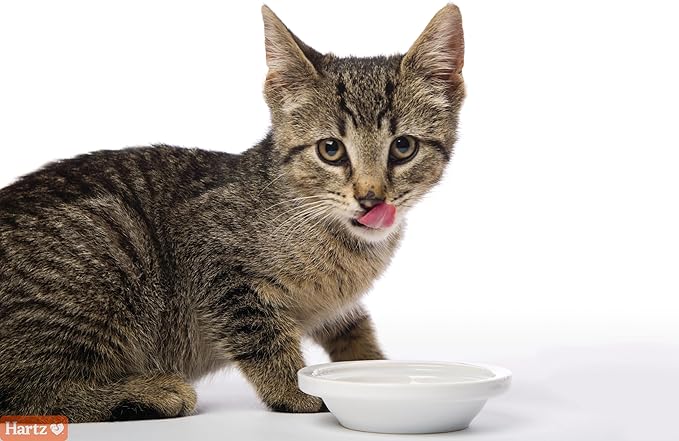 Hartz Hairball Remedy Plus Salmon Flavored Paste for Cats and Kittens, 2.5 Ounce (Pack of 2)