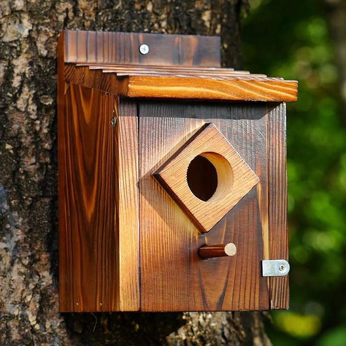 Waterproof Wooden Blue Bird House, Weather Treated Bluebird Box Houses for Outdoors, Nesting Box for Wrens, Swallows, Finches, Chickadee (Wood)