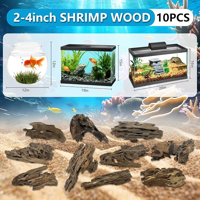 10 PCS Natural Honeycomb Wood 2-4", Porous Aquarium Driftwood | Cholla Wood Shrimp Shelter Breeding Cave, Shrimp Dragon Wood for Fish Tank, Aquascaping, Reptile, Terrarium Decor