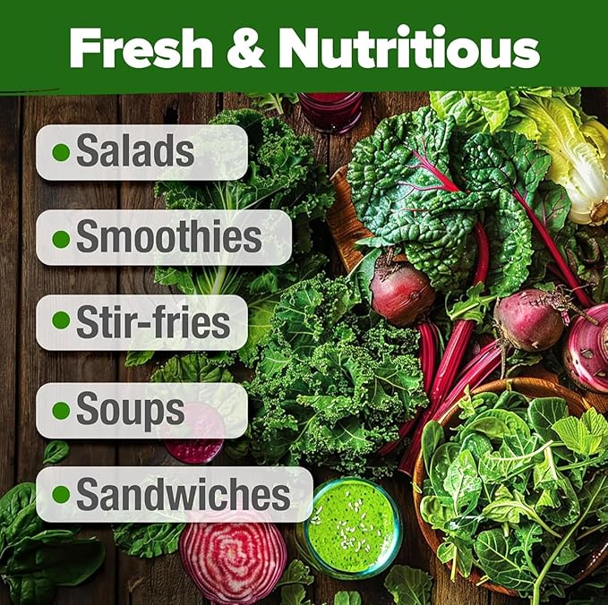HOME GROWN Lettuce Seeds 8 Variety Mix 9000+ Bulk Pack Heirloom Non-GMO, High Germination, Romaine, Bibb, Buttercrunch, Leafy Greens,Indoor Outdoor Hydroponic Garden, Cut & Come Again (Lactuca sativa)