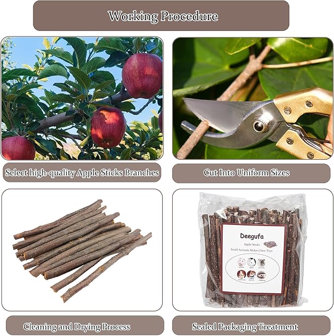200g Apple Sticks for Rabbits, Molar Apple Wood Treats Chew Sticks Toys for Chinchillas Guinea Pig Hamster Gerbil Parrot Bunny Small Animals