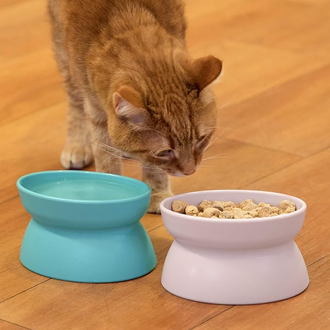 Kitty City Elevated Cat Bowls (Set of 2),Whisker-Friendly Raised Cat Food & Water Dishes,Modern Pedestal Design,Dishwasher Safe,6.5 oz Each – Teal & Light Pink,(Pack of 6)