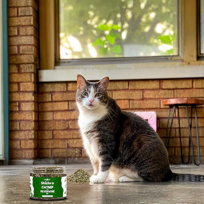 Catnip Silver Vine Blend for Cats & Kittens, Non-Toxic Freshly Dried and Dual Stimulation Formula Organic Silvervine Haze & Cat nip for Cats to Activate Your Kitty's Playful Side