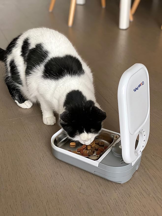 Closer Pets C100 Single Meal Timer-Controlled Automatic Pet Feeder - for Cats and Small Dogs, Wet or Dry Food with Stainless Steel Bowl Insert, up to 0.88 lb, White