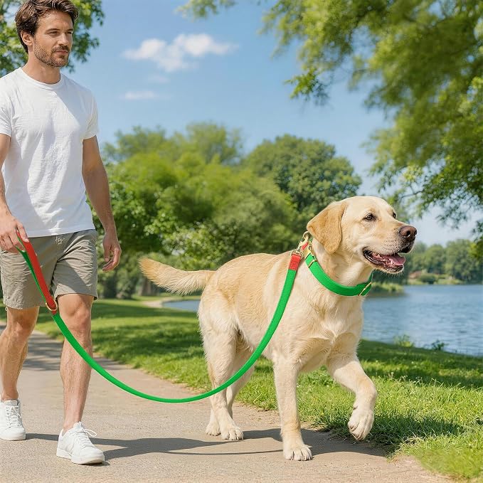 Dog Collar and Leash Set with Metal Quick Release Buckle, Adjustable, Breathable Nylon, Durable, Soft and Comfortable, No Pull for Walking and Training, Fluorescent Green, L (14.9"-22.8")