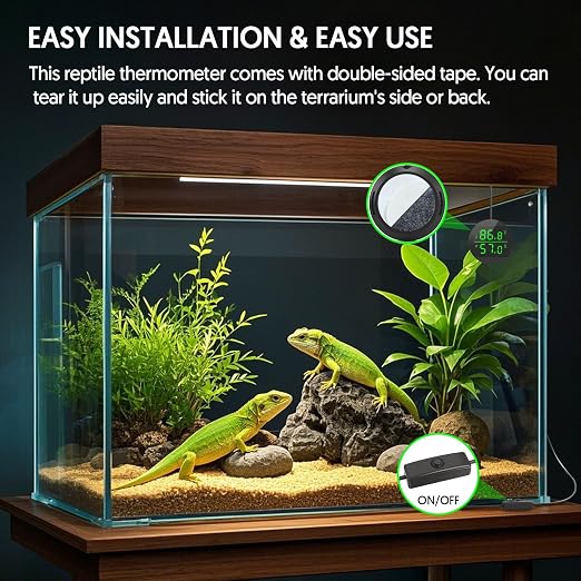 QZQ Reptile Thermometer and Humidity Gauge, Digital Display, 2-Pack Black | LED Thermometer Hydrometer, Reptile Tank Accessories for Bearded Dragon, Crested Gecko, Snake, Lizard, USB Power Supply